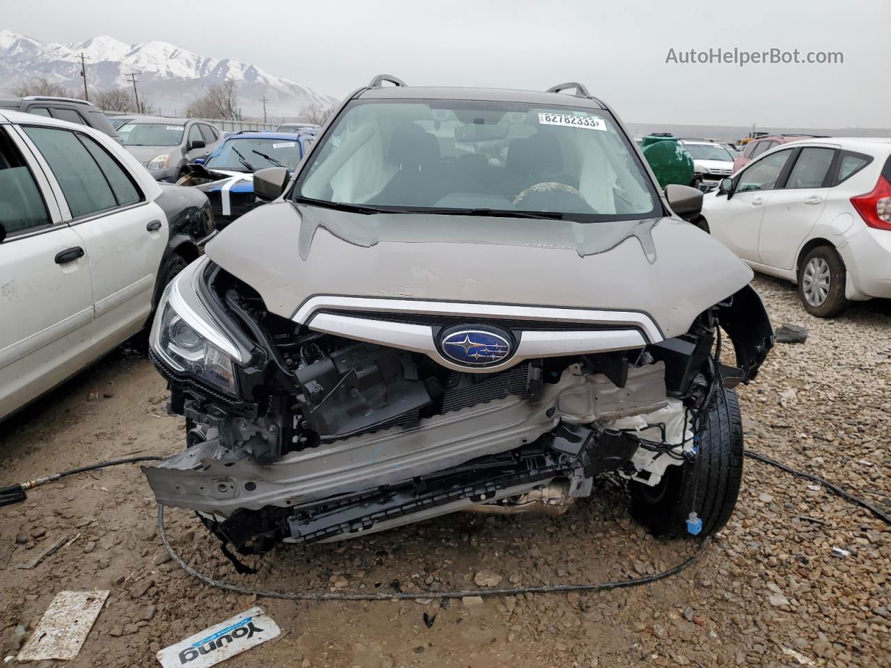 2019 Subaru Forester Premium Brown vin: JF2SKAEC6KH412344