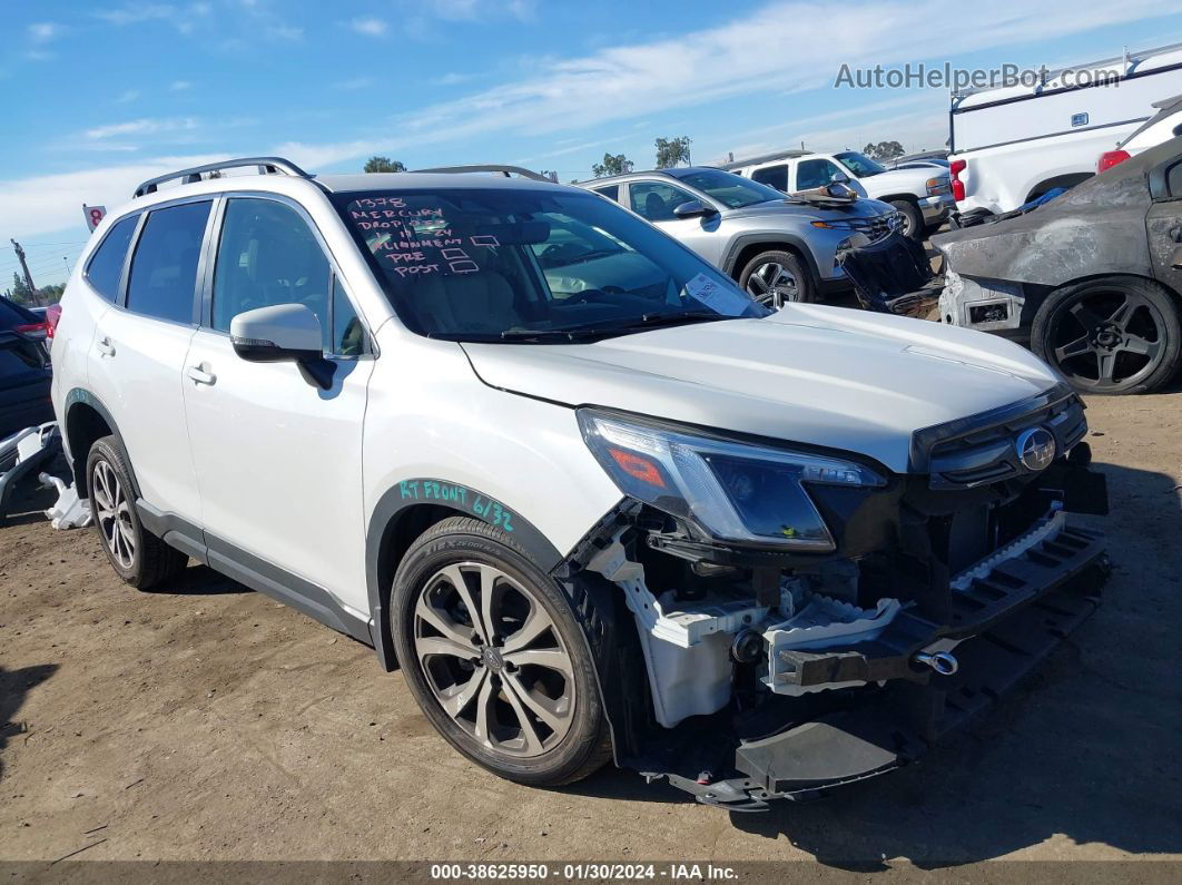 浮所　ステフォ　2022 maxresdefault.jpg