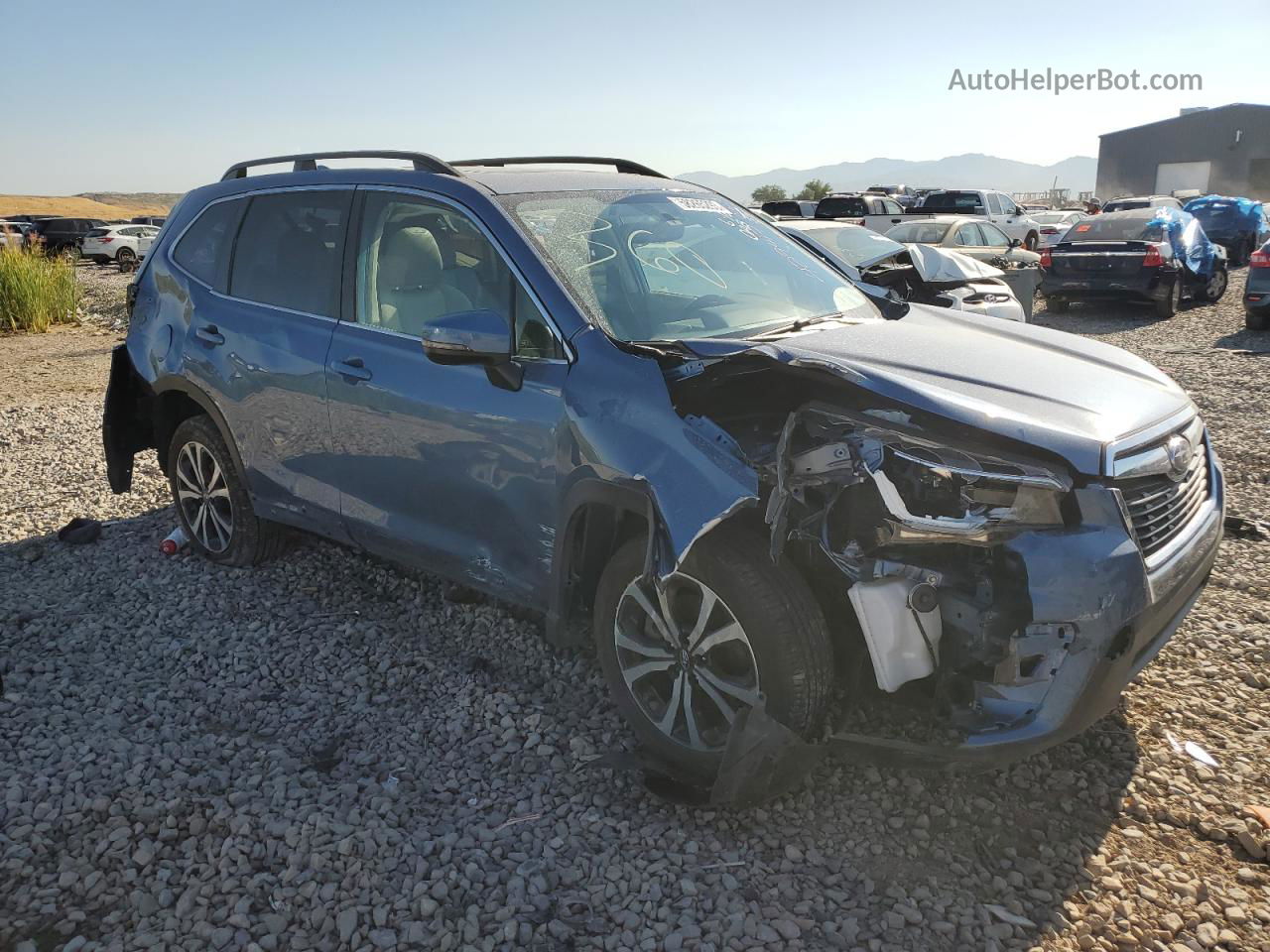 2019 Subaru Forester Limited Синий vin: JF2SKASC9KH429417