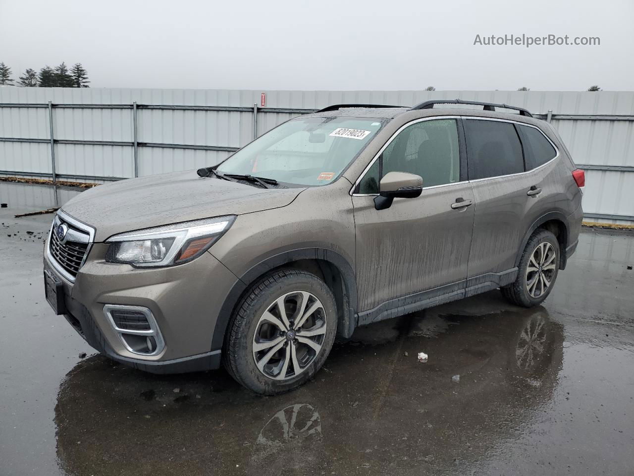 2019 Subaru Forester Limited Gray vin: JF2SKAUC3KH540932