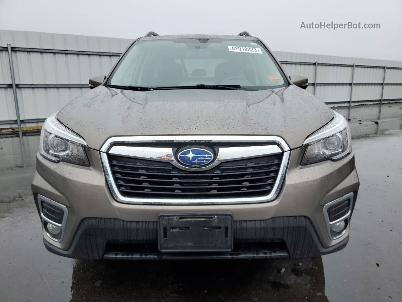 2019 Subaru Forester Limited Gray vin: JF2SKAUC3KH540932