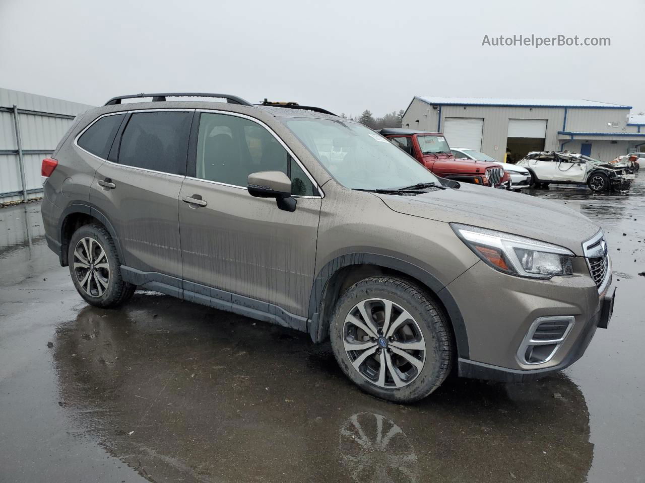 2019 Subaru Forester Limited Серый vin: JF2SKAUC3KH540932