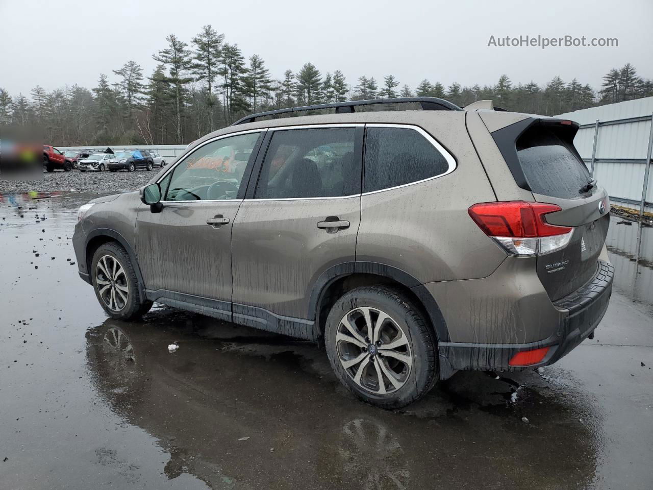 2019 Subaru Forester Limited Серый vin: JF2SKAUC3KH540932