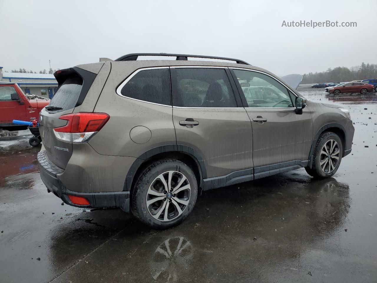 2019 Subaru Forester Limited Gray vin: JF2SKAUC3KH540932