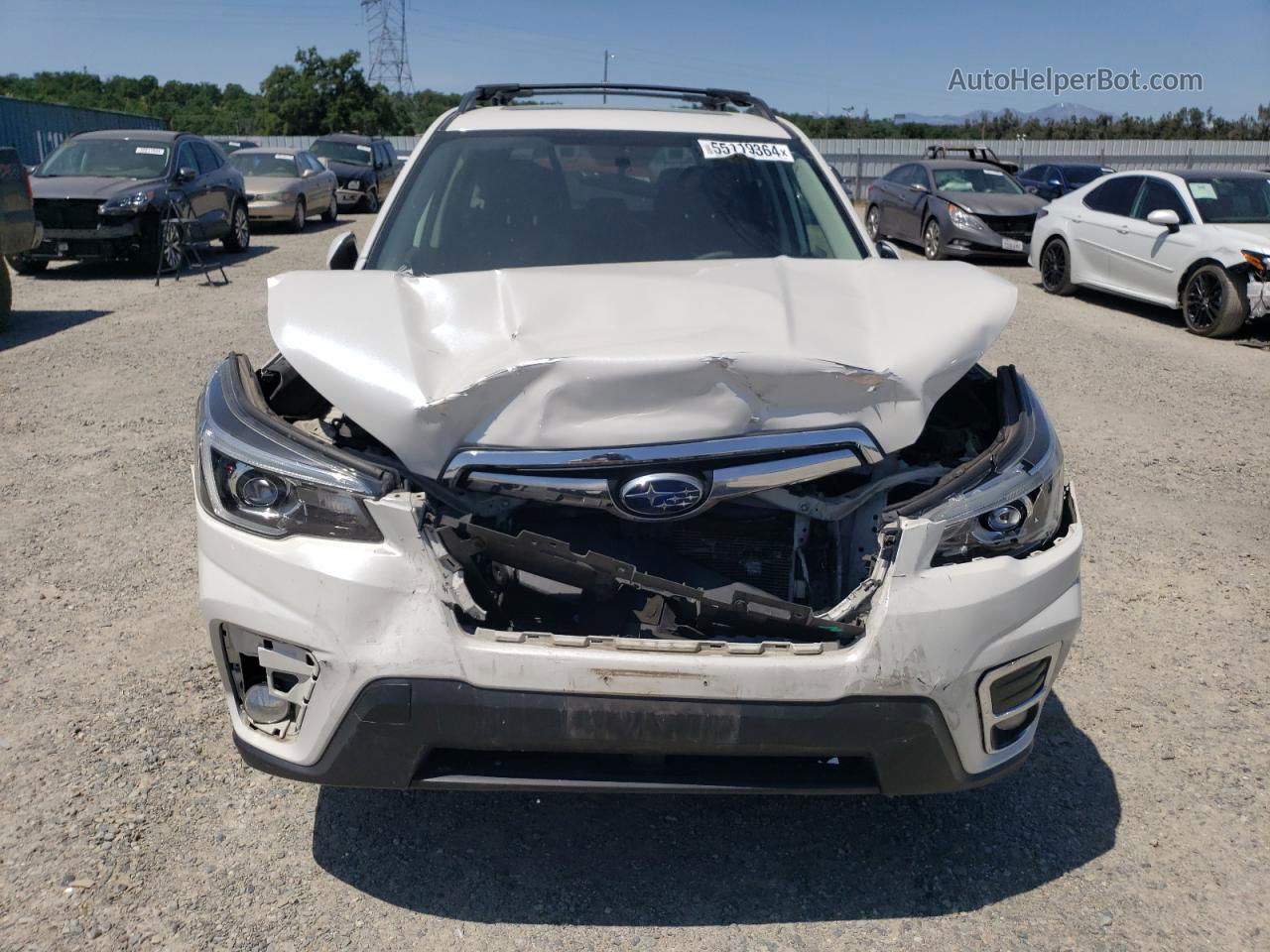 2019 Subaru Forester Limited White vin: JF2SKAUC5KH579117