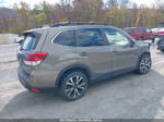 2020 Subaru Forester Limited Gray vin: JF2SKAUC5LH541663