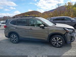 2020 Subaru Forester Limited Gray vin: JF2SKAUC5LH541663