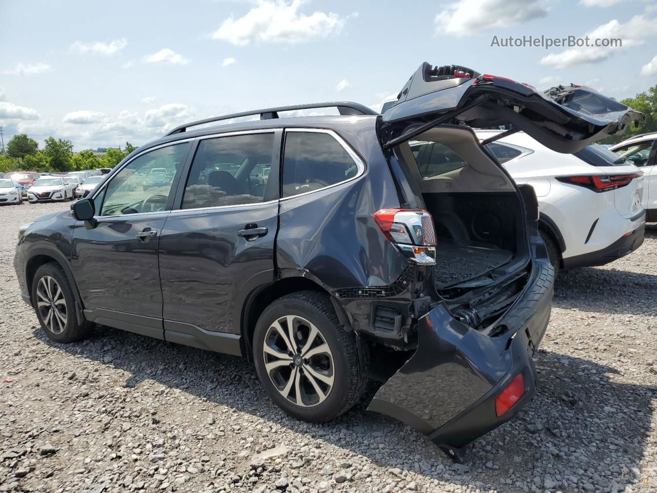 2019 Subaru Forester Limited Gray vin: JF2SKAUC8KH469890