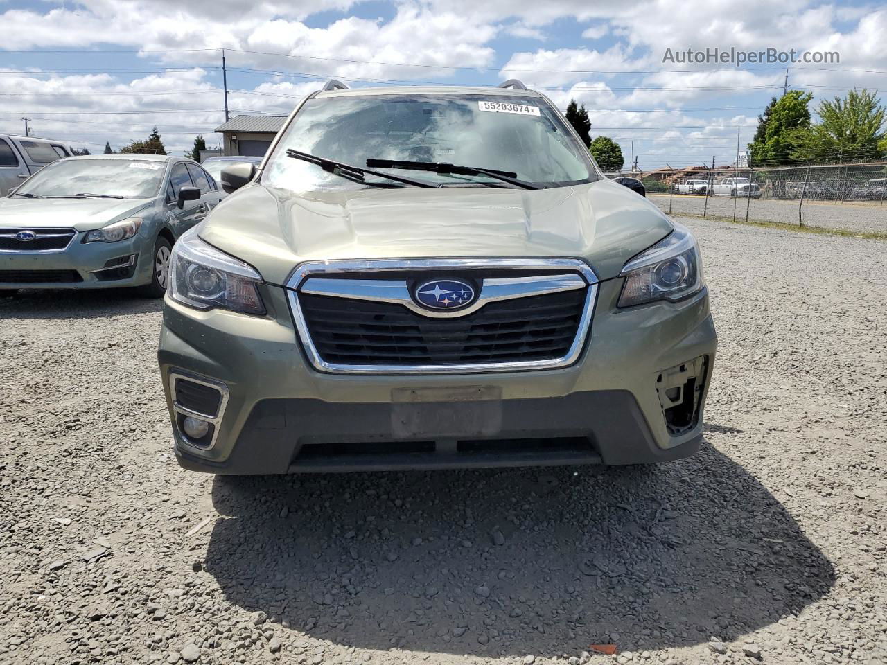 2019 Subaru Forester Limited Green vin: JF2SKAUC9KH445517