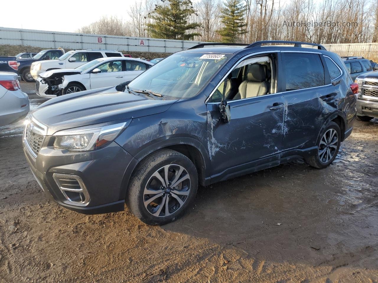 2020 Subaru Forester Limited Серый vin: JF2SKAUC9LH524137