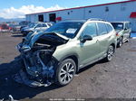 2019 Subaru Forester Limited Green vin: JF2SKAUCXKH585317