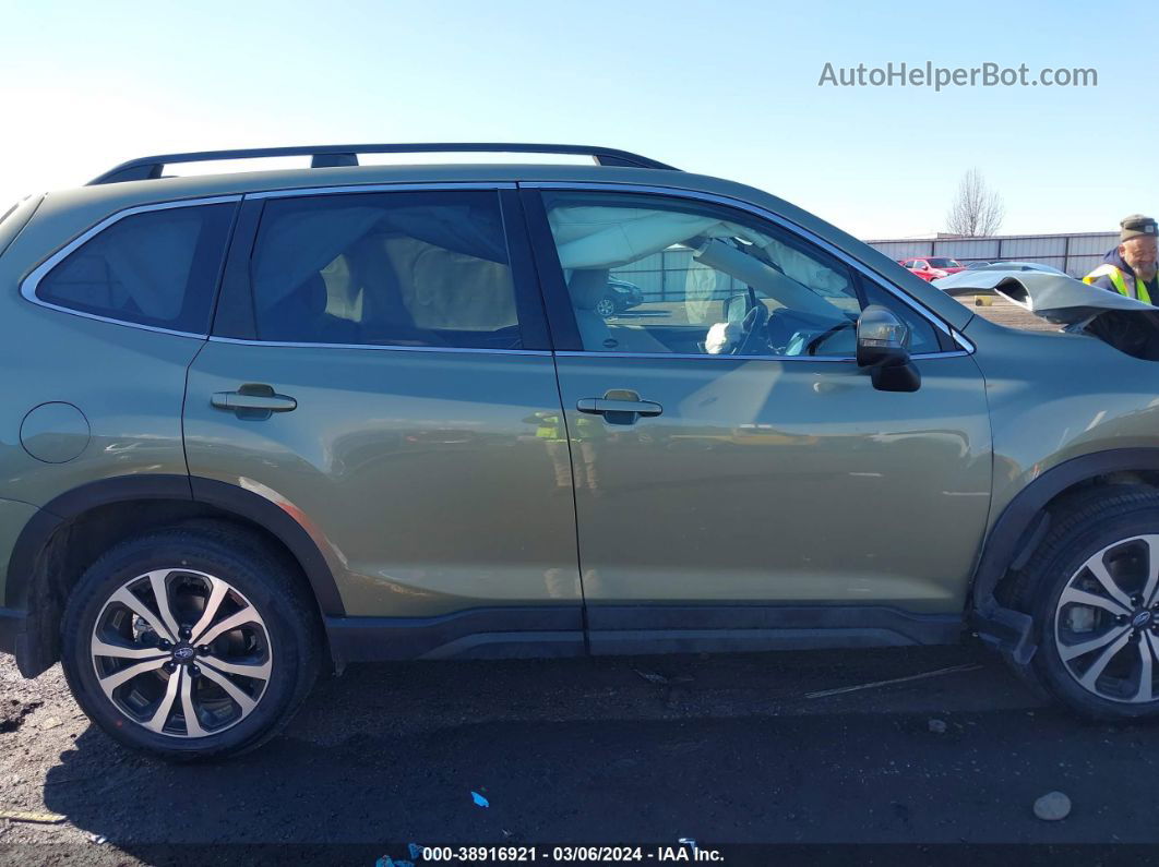 2019 Subaru Forester Limited Green vin: JF2SKAUCXKH585317