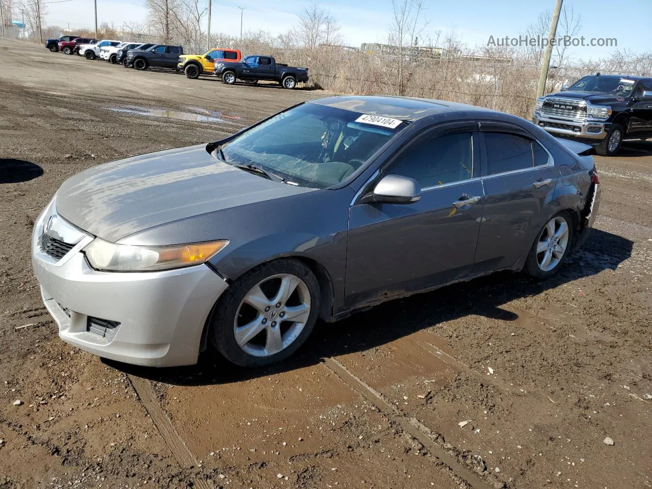 2009 Acura Tsx  Gray vin: JH4CU25449C800173