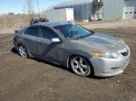 2009 Acura Tsx  Gray vin: JH4CU25449C800173