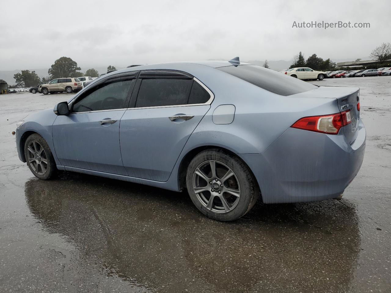 2009 Acura Tsx  Серый vin: JH4CU25609C003890