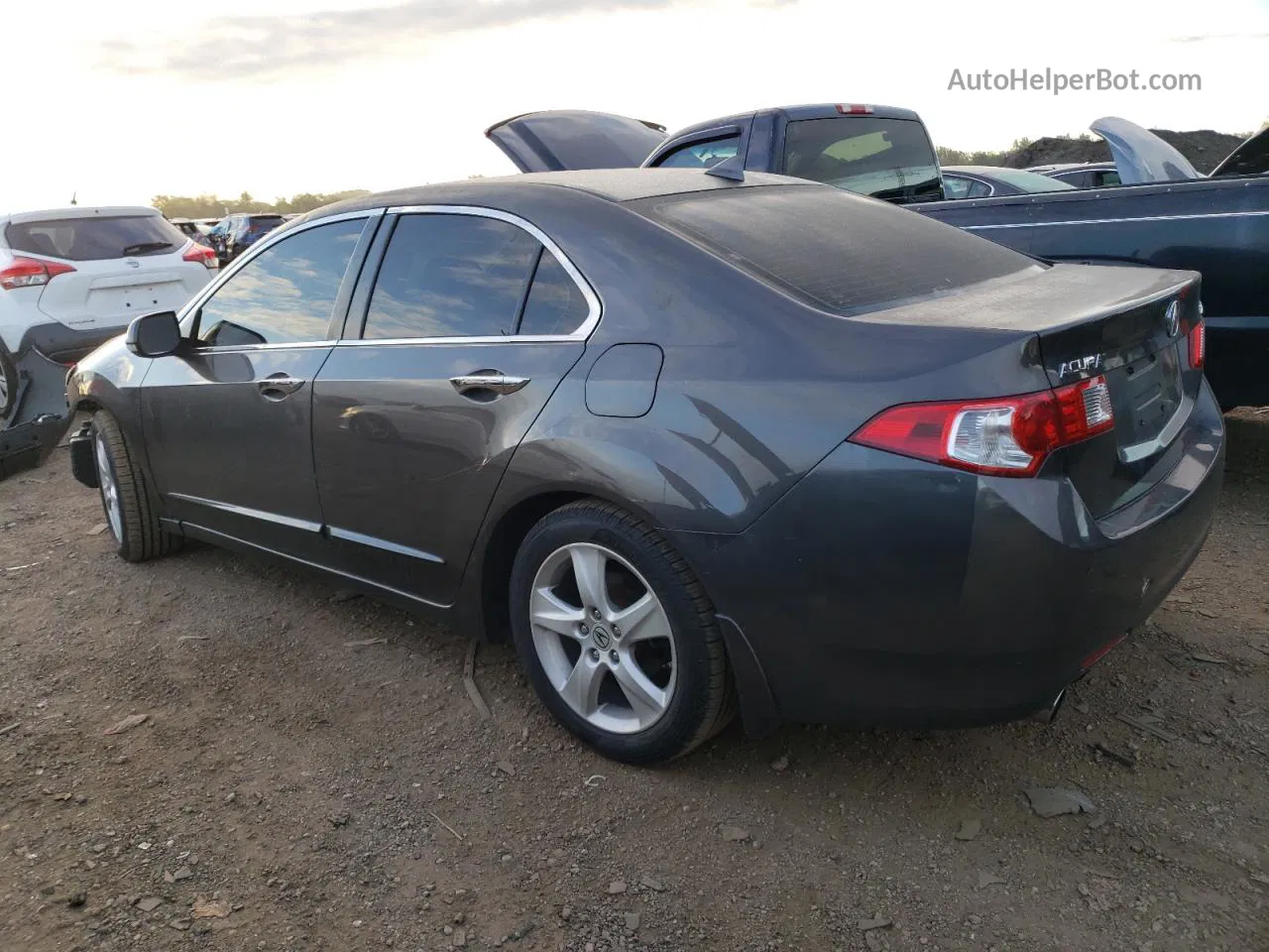 2009 Acura Tsx  Gray vin: JH4CU25639C003253