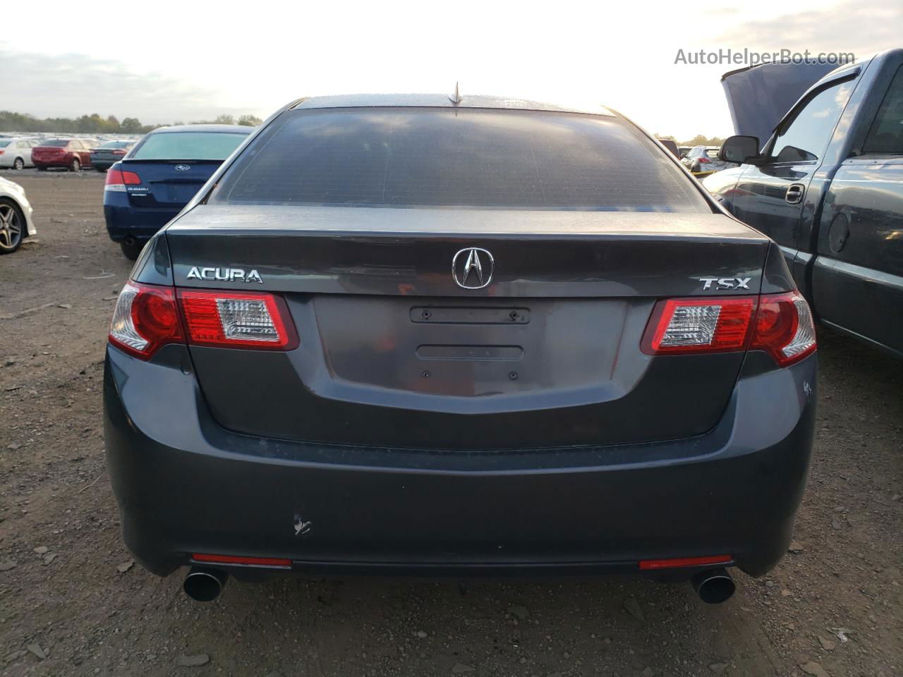 2009 Acura Tsx  Gray vin: JH4CU25639C003253