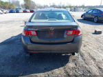 2009 Acura Tsx   Gray vin: JH4CU25639C021526