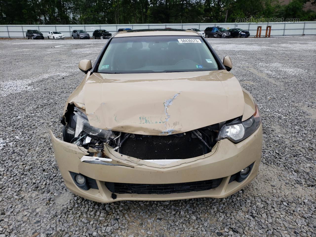 2009 Acura Tsx  Beige vin: JH4CU25649C014861