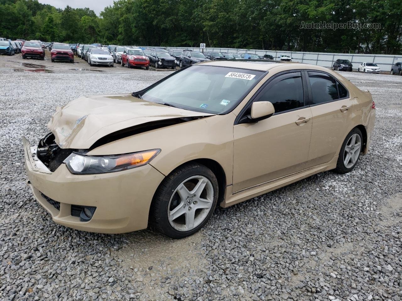 2009 Acura Tsx  Бежевый vin: JH4CU25649C014861