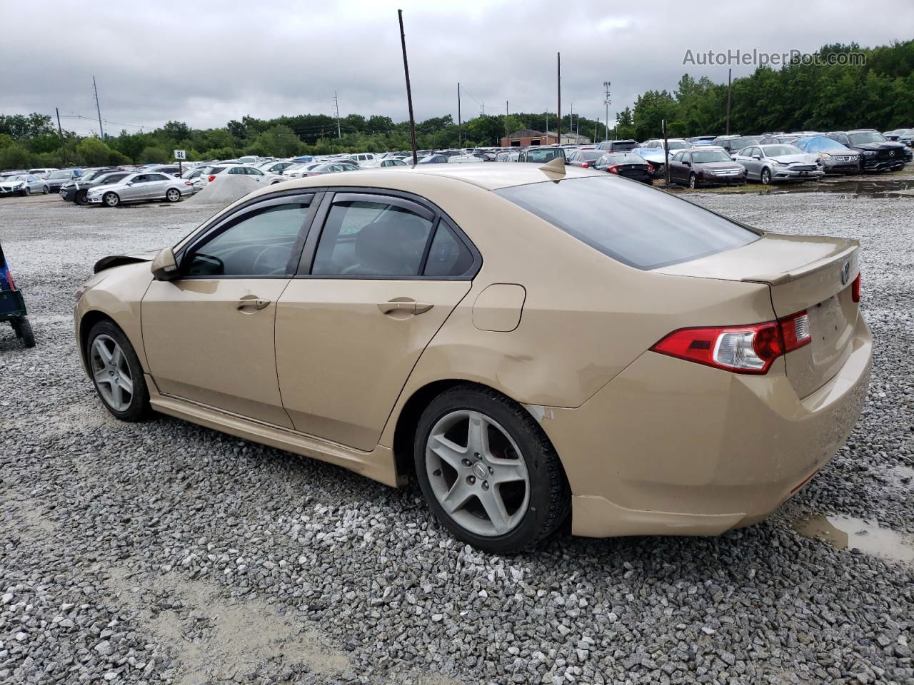 2009 Acura Tsx  Beige vin: JH4CU25649C014861