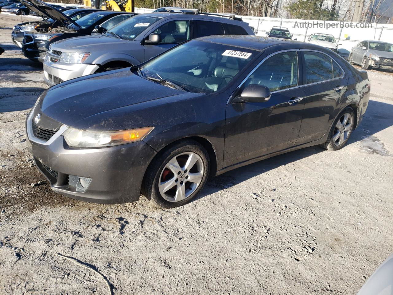 2009 Acura Tsx  Gray vin: JH4CU25659C015906