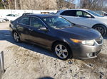 2009 Acura Tsx  Gray vin: JH4CU25659C015906