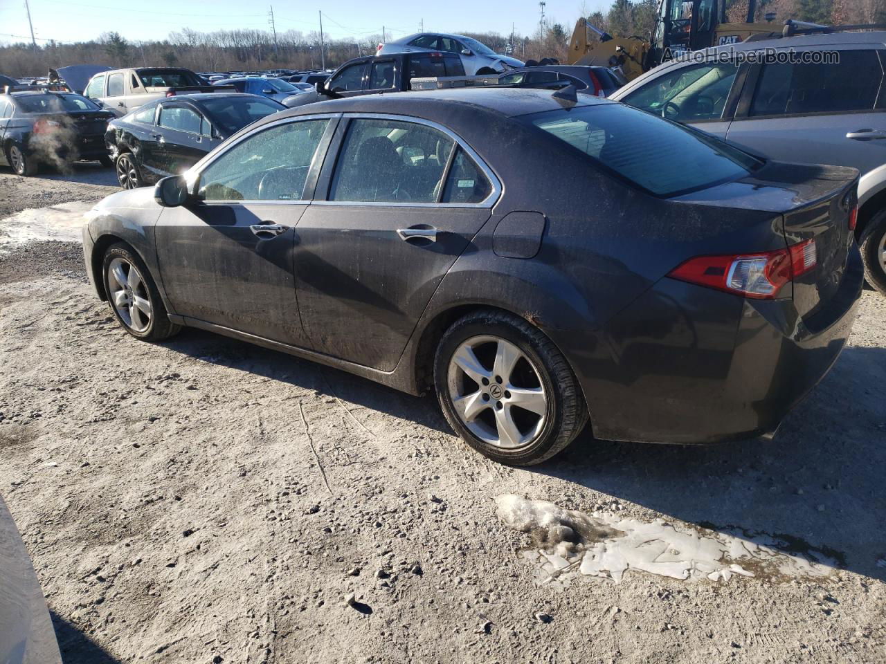 2009 Acura Tsx  Gray vin: JH4CU25659C015906