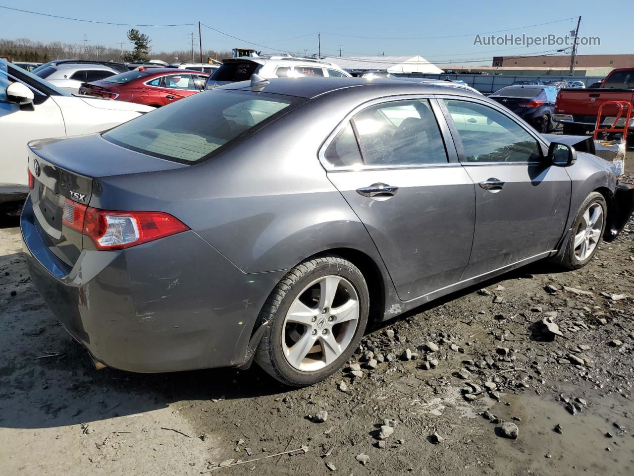 2009 Acura Tsx  Gray vin: JH4CU25669C022394