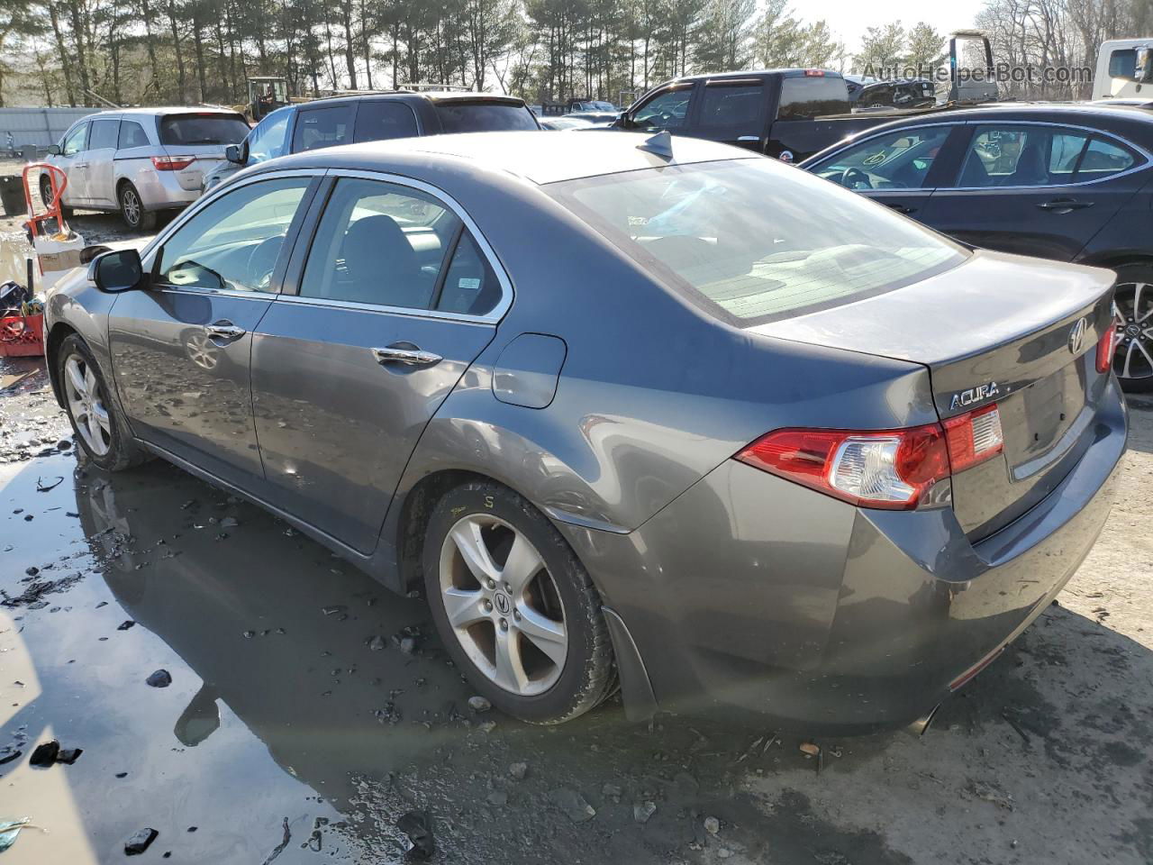 2009 Acura Tsx  Gray vin: JH4CU25669C022394