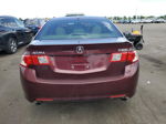 2009 Acura Tsx  Burgundy vin: JH4CU25679C021884