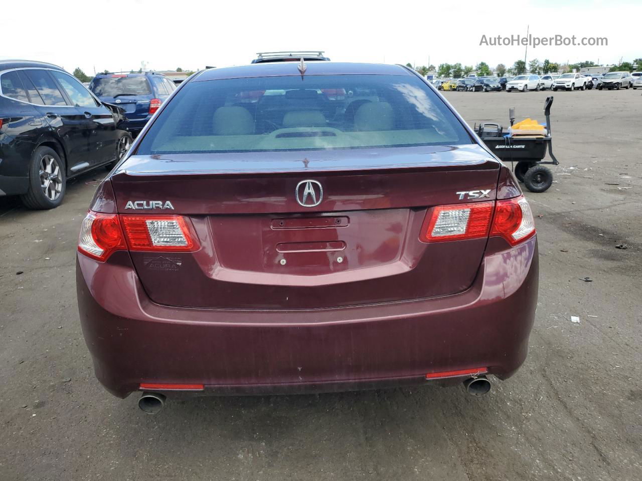 2009 Acura Tsx  Burgundy vin: JH4CU25679C021884