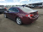 2009 Acura Tsx  Бордовый vin: JH4CU25679C021884