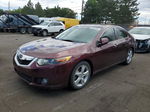 2009 Acura Tsx  Burgundy vin: JH4CU25679C021884