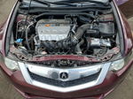 2009 Acura Tsx  Бордовый vin: JH4CU25679C021884