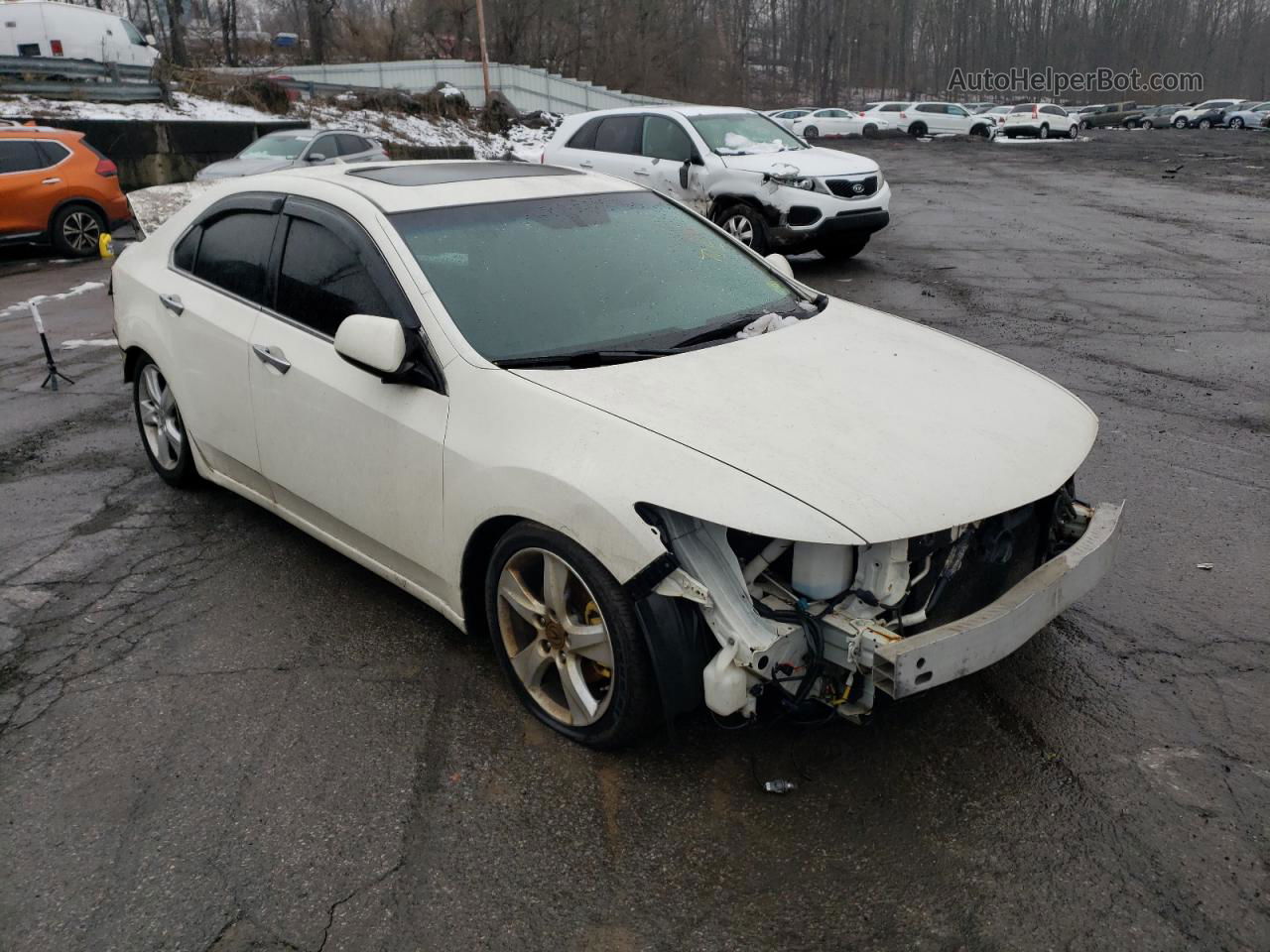 2009 Acura Tsx  Белый vin: JH4CU25689C022039