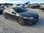 2009 Acura Tsx  Black vin: JH4CU25699C000549