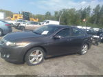 2009 Acura Tsx   Gray vin: JH4CU25699C000955