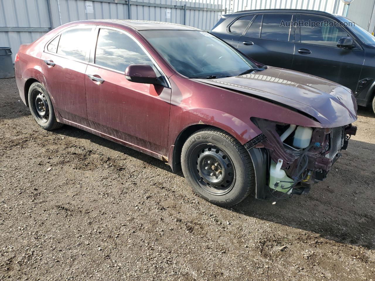 2009 Acura Tsx  Burgundy vin: JH4CU26449C801029