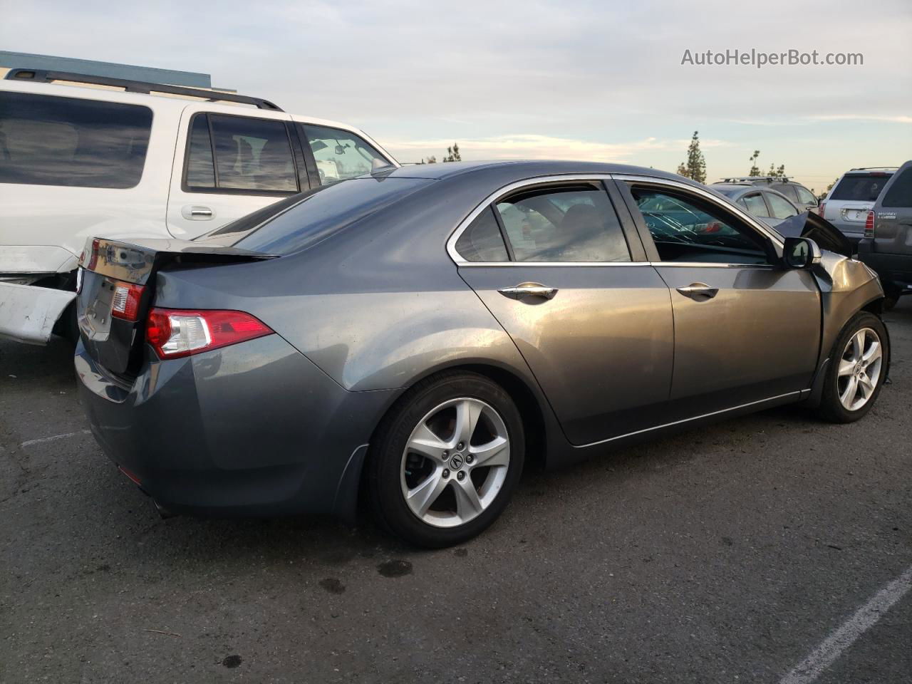 2009 Acura Tsx  Gray vin: JH4CU26609C007355