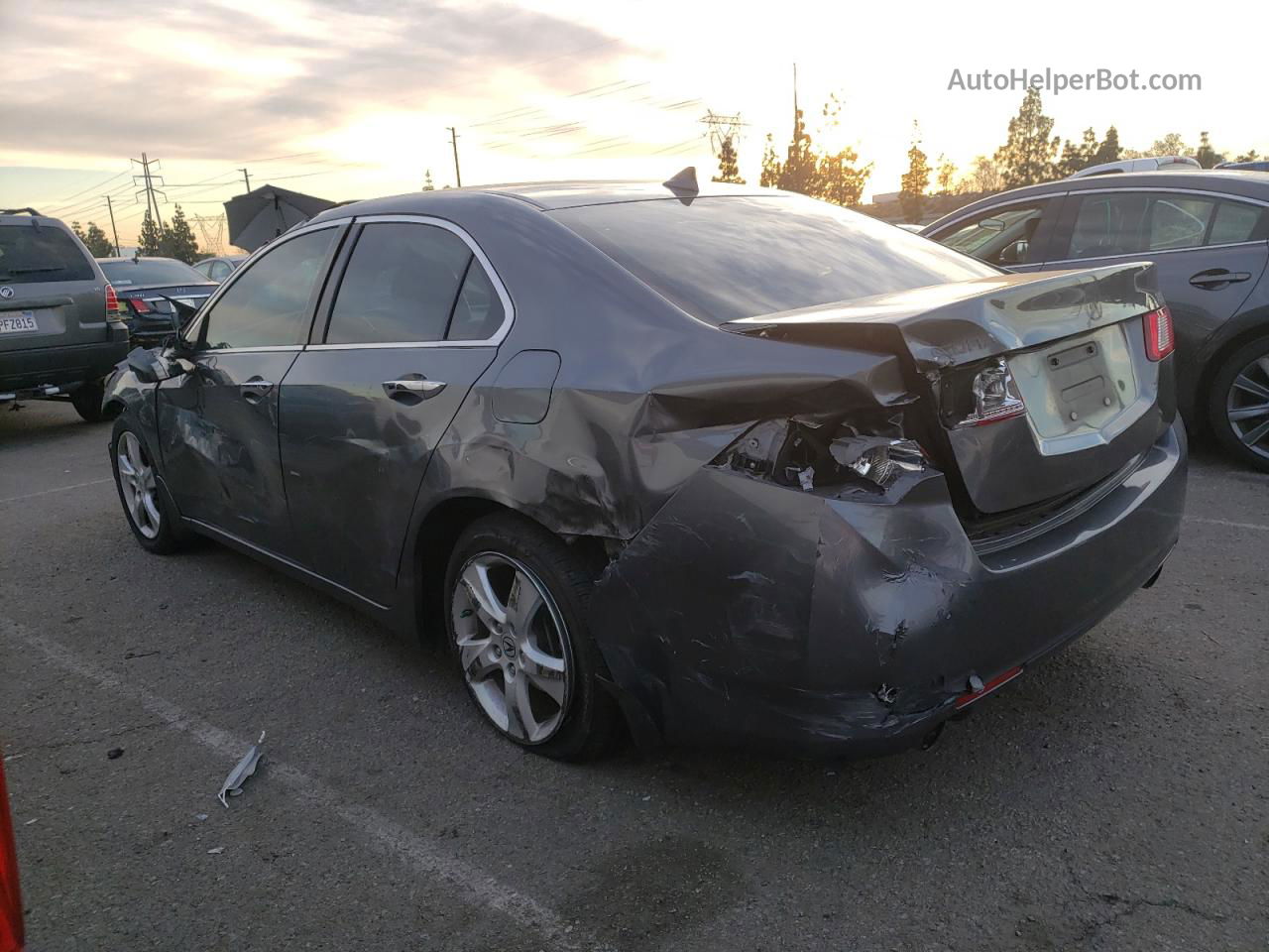 2009 Acura Tsx  Gray vin: JH4CU26609C007355