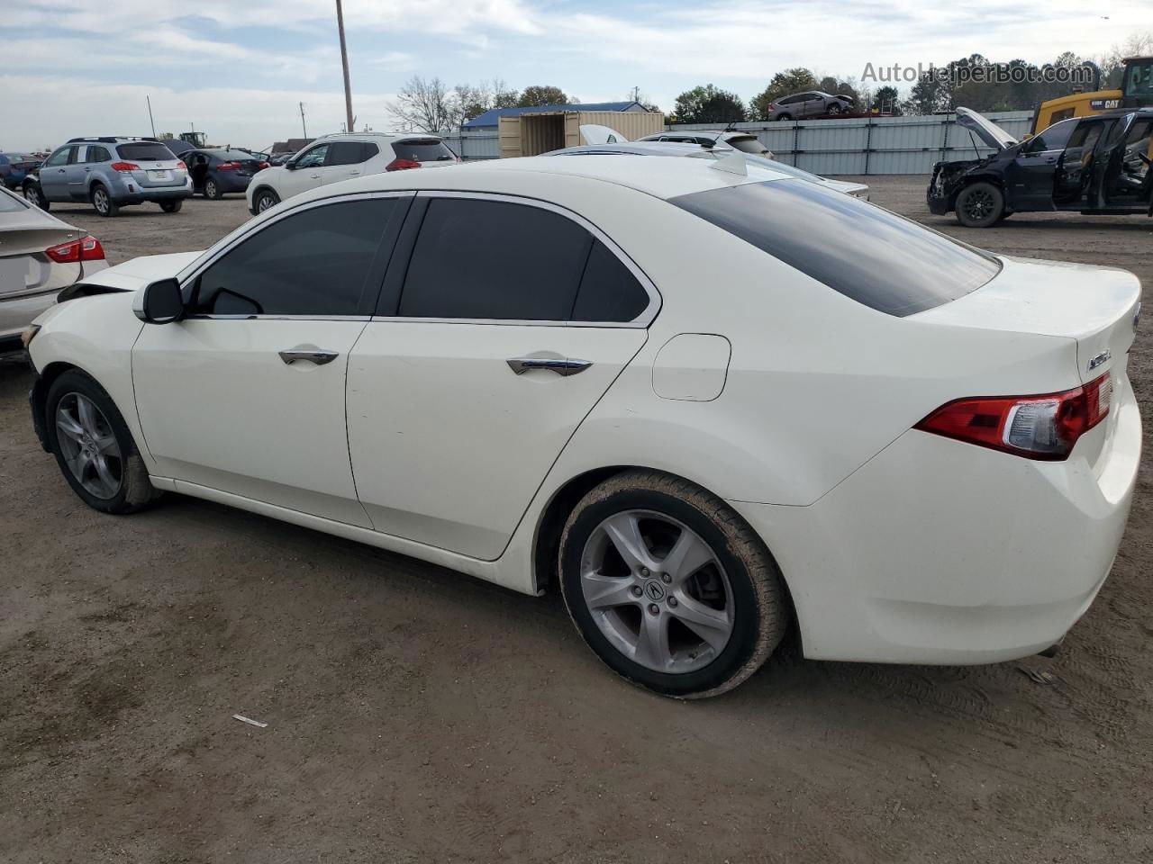 2009 Acura Tsx  Белый vin: JH4CU26609C010353