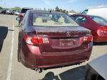 2009 Acura Tsx  Burgundy vin: JH4CU26609C024883