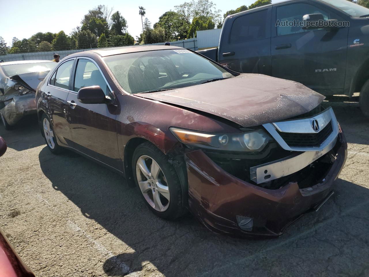 2009 Acura Tsx  Burgundy vin: JH4CU26609C024883