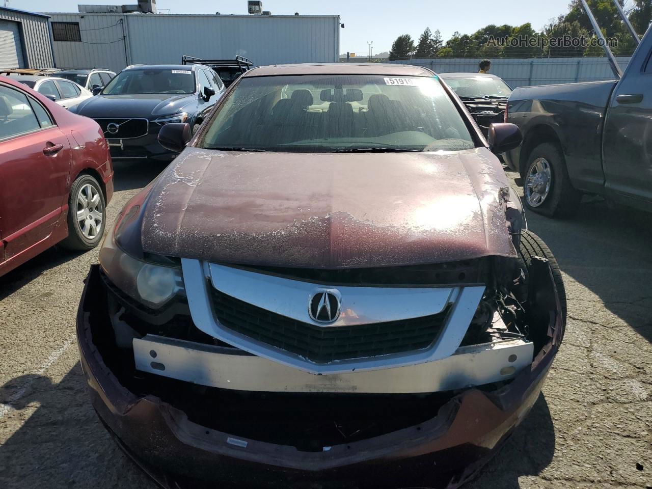 2009 Acura Tsx  Burgundy vin: JH4CU26609C024883