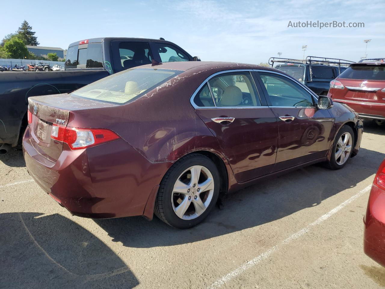 2009 Acura Tsx  Бордовый vin: JH4CU26609C024883