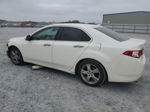 2009 Acura Tsx  Белый vin: JH4CU26609C033955