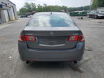 2009 Acura Tsx  Gray vin: JH4CU26609C035513