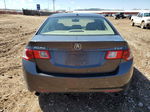 2009 Acura Tsx  Gray vin: JH4CU26619C003038