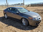 2009 Acura Tsx  Серый vin: JH4CU26619C003038